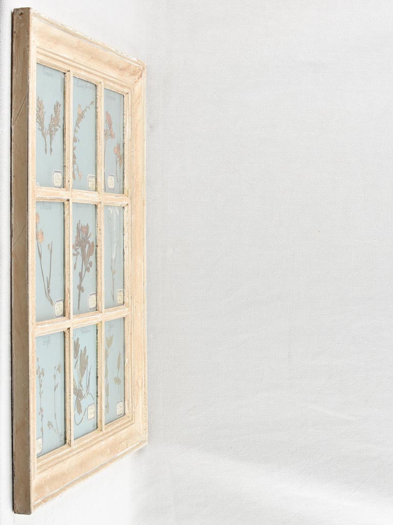 Stylish Reframed Herbiers for Home Decor