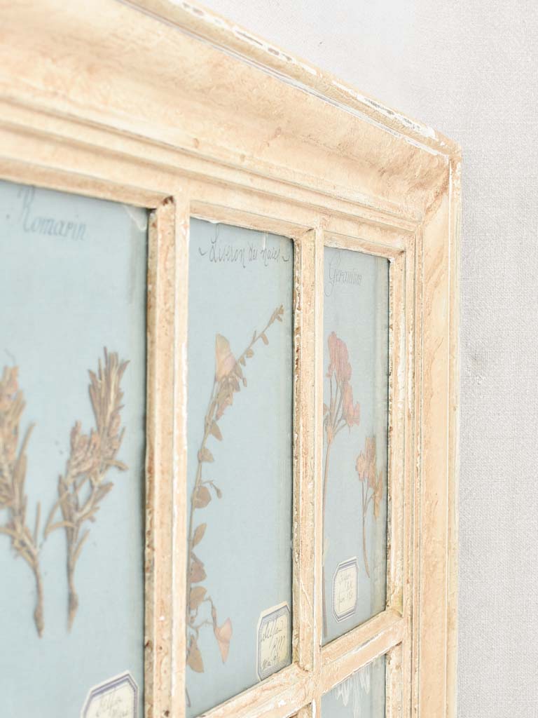 Antique Dried Flower Wall Frame