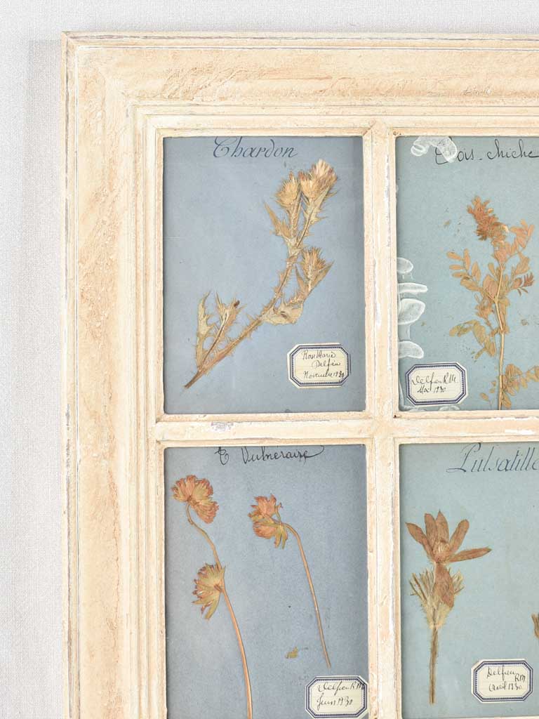 Unique Reframed Dried Herb Art