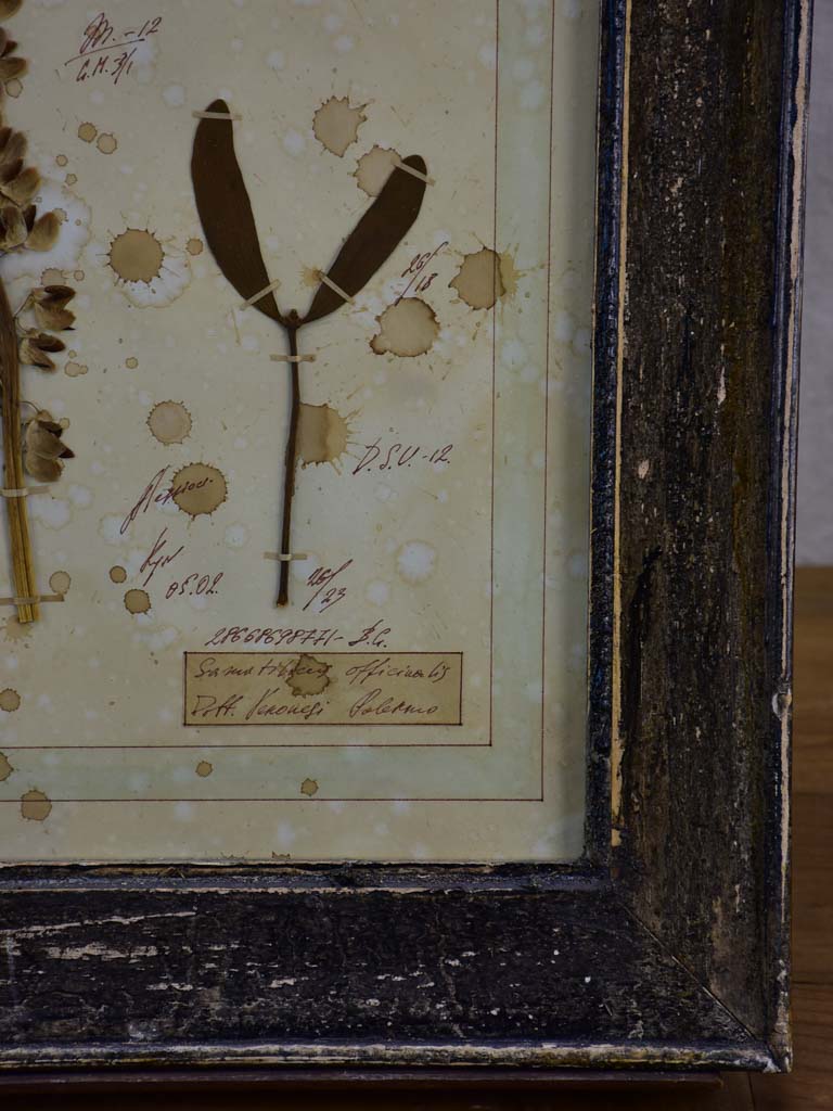Four French pressed flower frames
