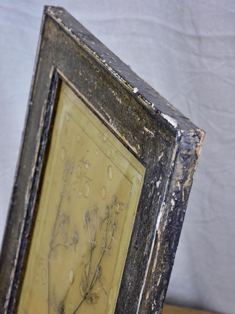 Four French pressed flower frames