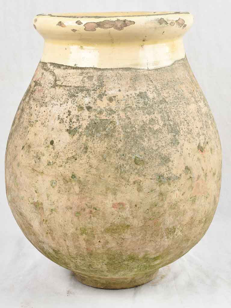 Small 19th century olive jar / Biot 24"