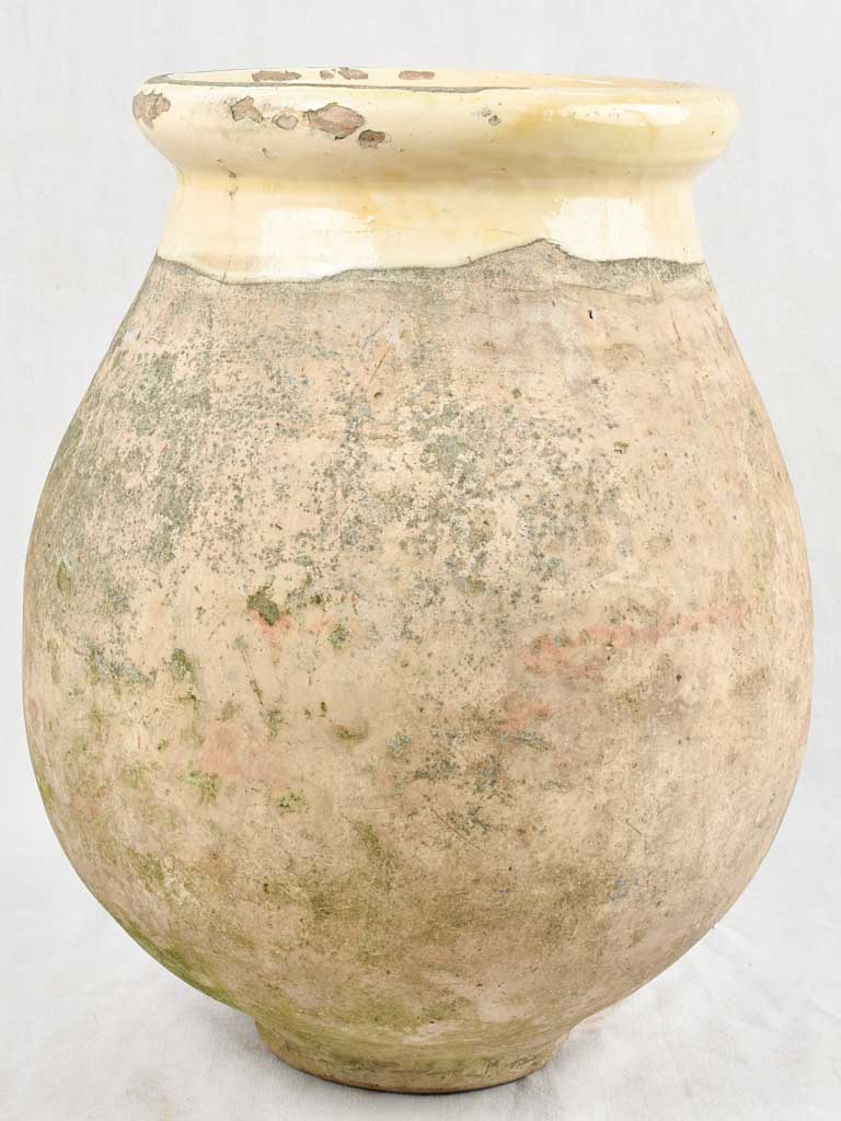 Small 19th century olive jar / Biot 24"