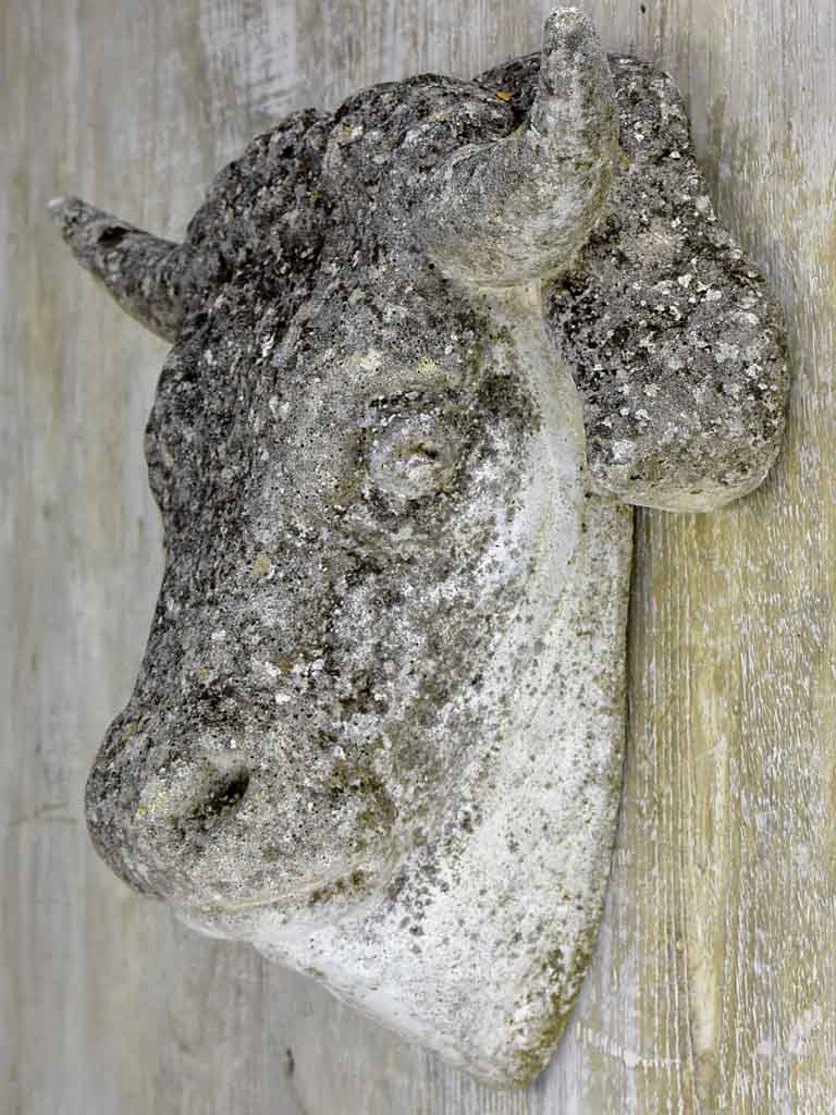 Reconstituted stone cow's head - 1940's. 17¾"