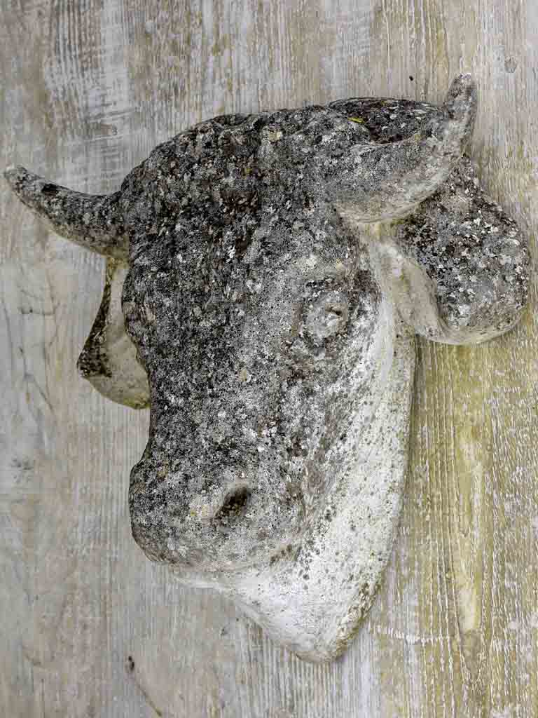 Reconstituted stone cow's head - 1940's. 17¾"