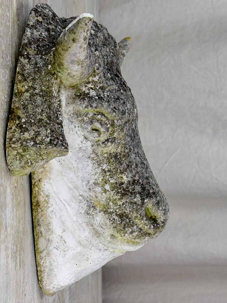 Reconstituted stone cow's head - 1940's. 17¾"