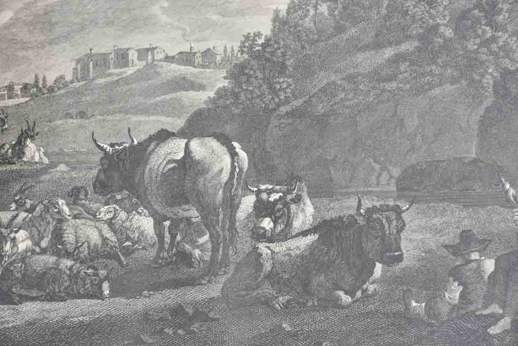 Two 19th century engravings - herd of cows 24¾" x 29¼"