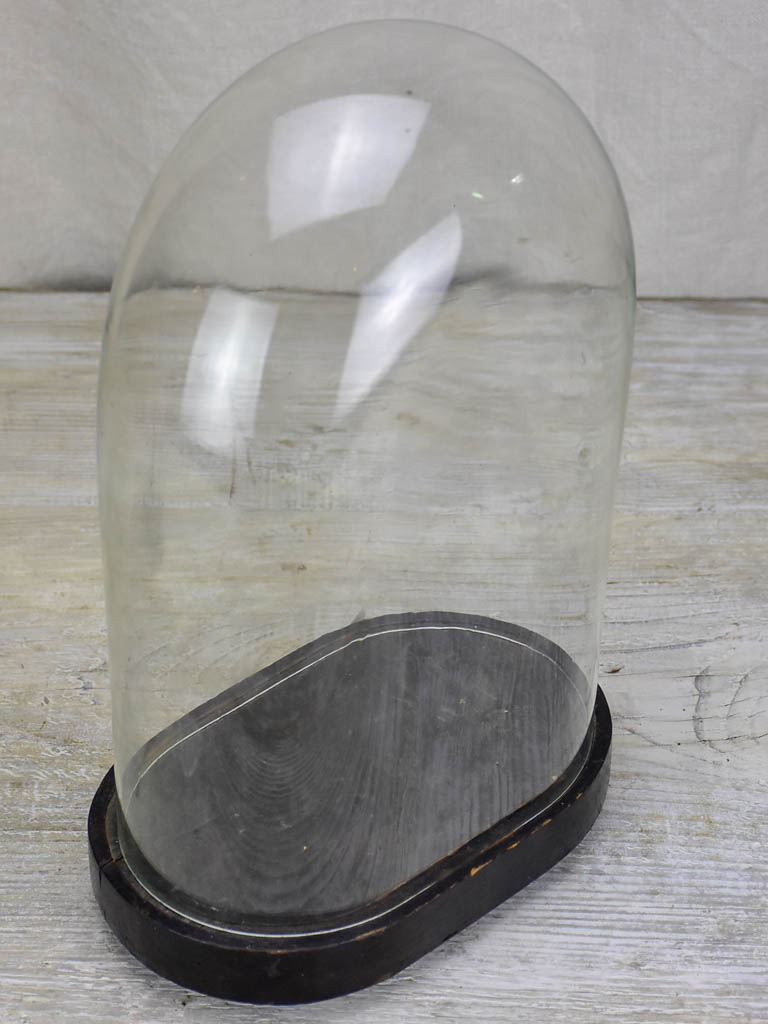Napoleon III oval marriage dome