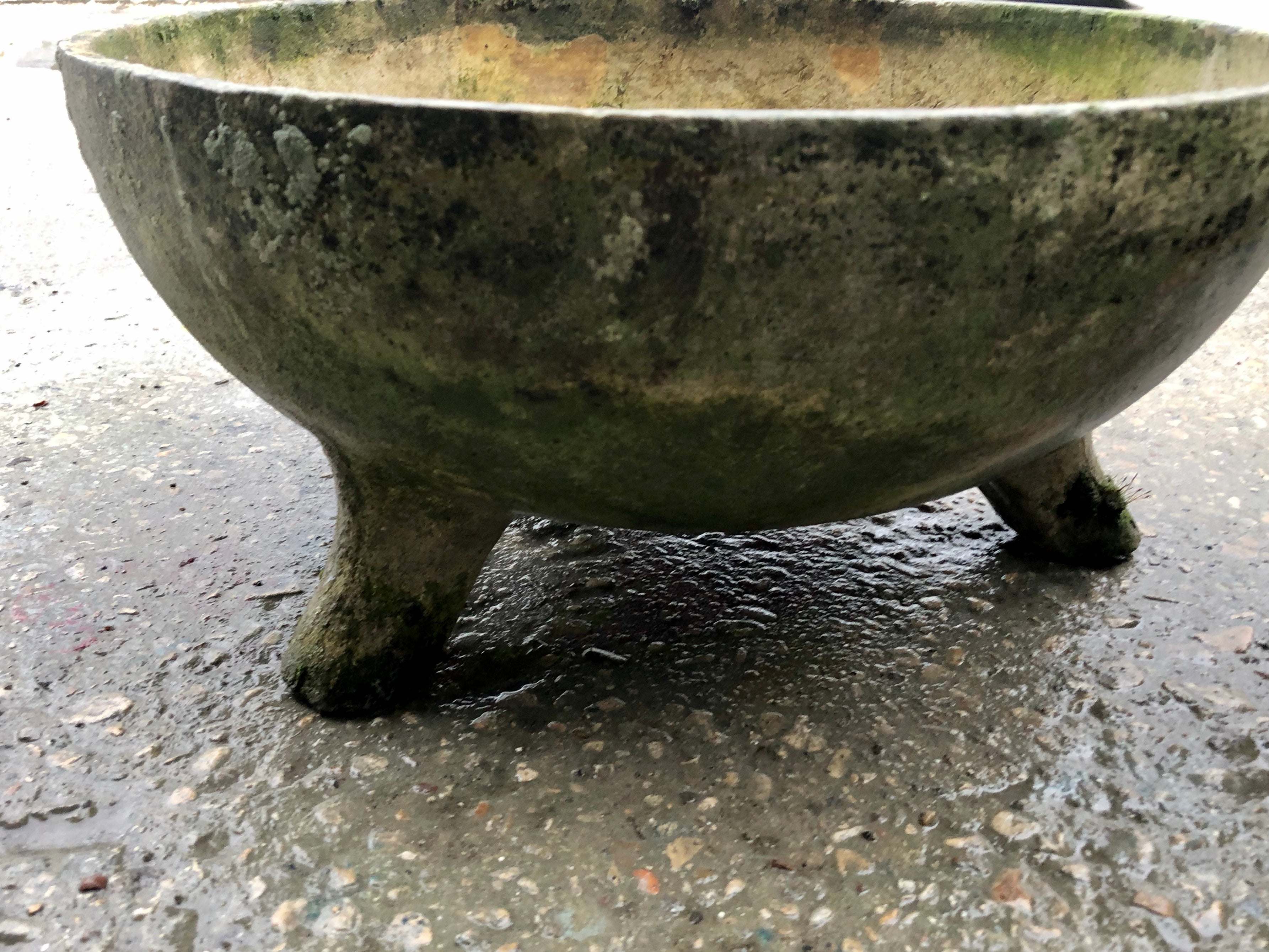 Pair of cup shaped Willy Guhl planters