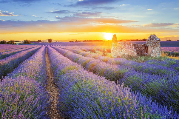 The best 100 things to do in Provence