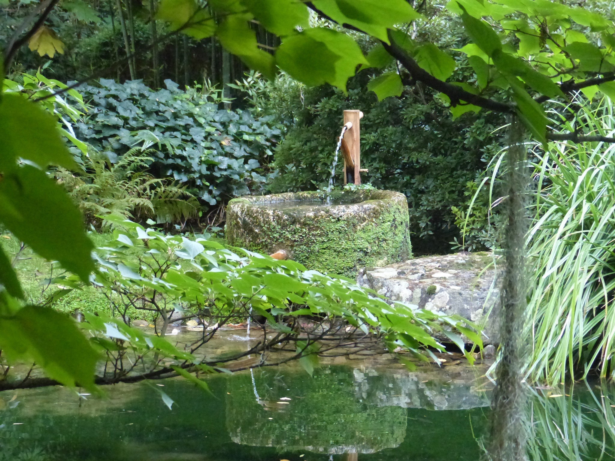 A delightful open garden in the South of France