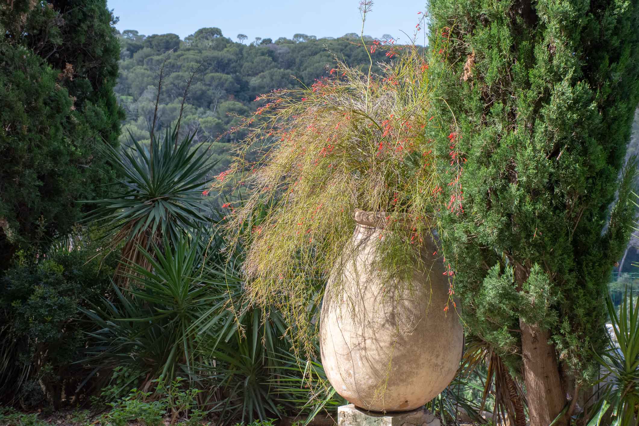 The Biot Jar - An ancient French tradition