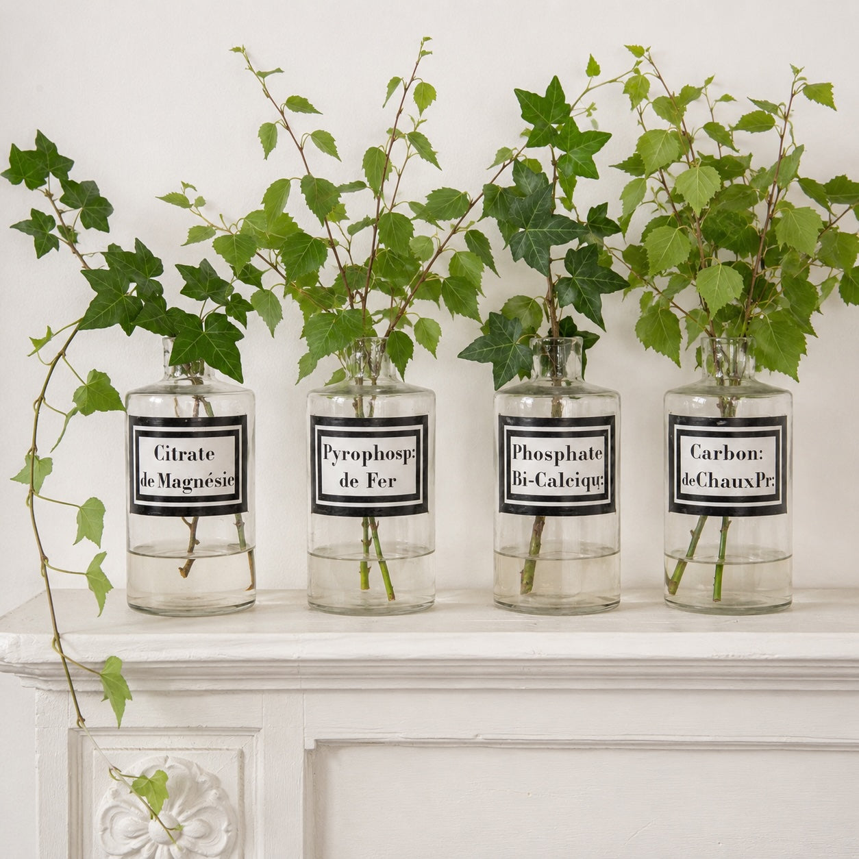 French Glass Apothecary Jars