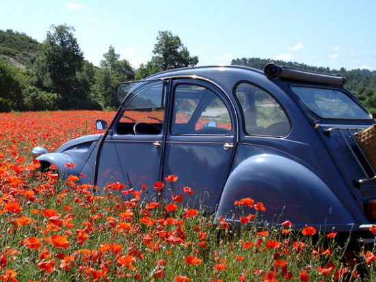 Drive through the countryside in a deux chevaux