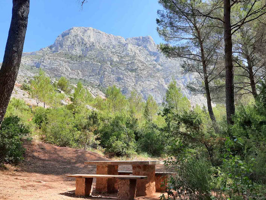 Pack your lunch and climb all the way to the summit of Mont Sainte-Victoire