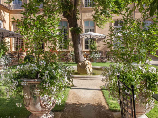 See an art exhibition and enjoy a garden lunch at Hôtel de Caumont