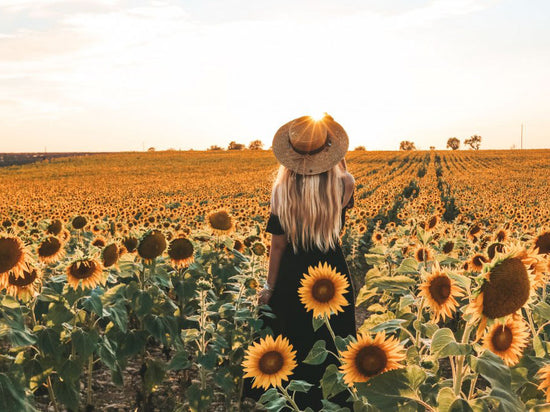 Bask in sunflowers on the Valensole Plateau