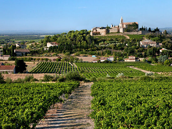 Take a full day wine tasting tour through the Côtes-du-Rhône