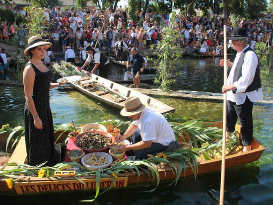 Take part in the famous floating market of L'isle-sur-la-Sorgue