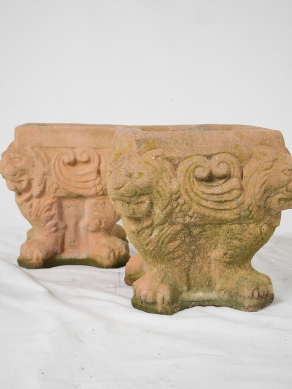 Terracotta-like, historical square planters with lion