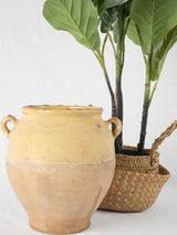 Vintage yellow earthenware preservation container