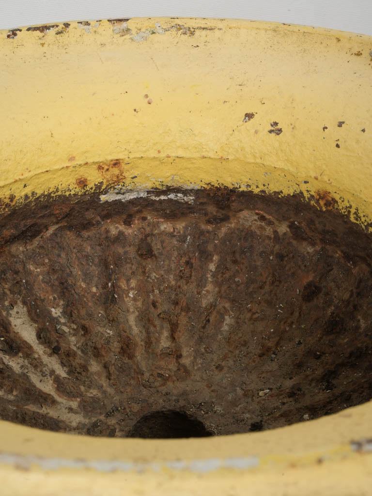 Rustic sunshine-hued cast-iron garden pot