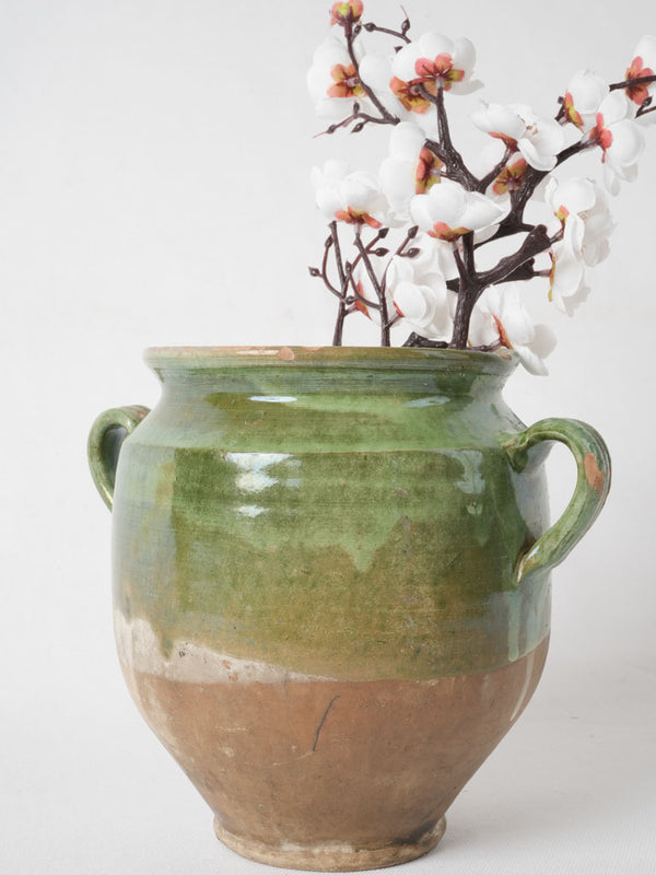 Rare green 19th-century earthenware confit pot