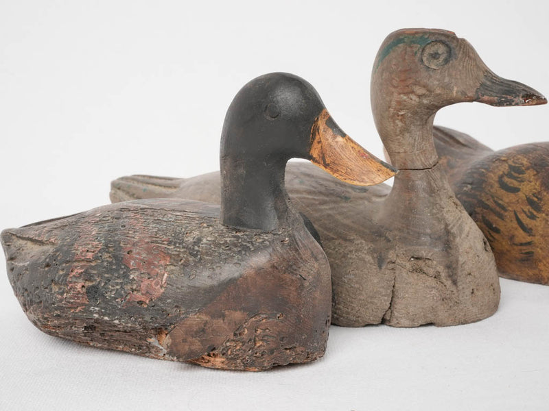 Time-worn decorative wooden ducks