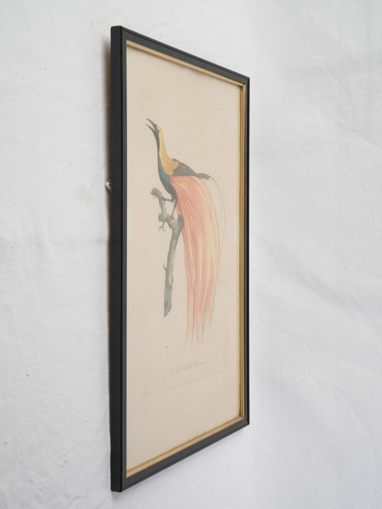 Classic detailed decorative piece