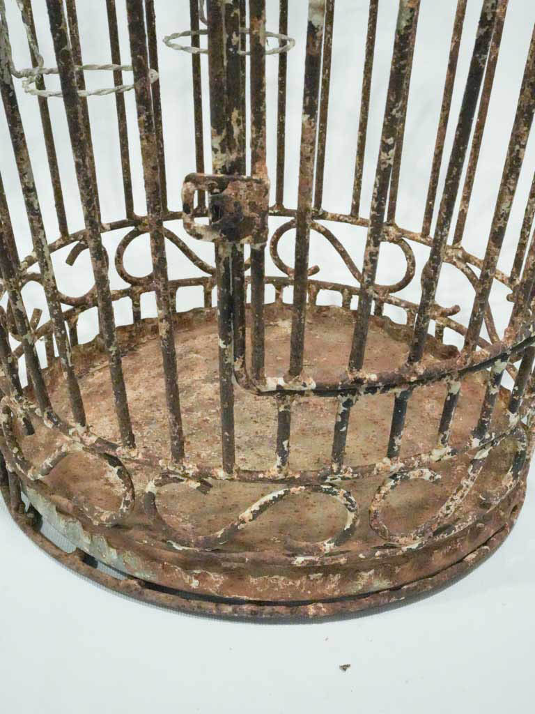 Galvanized cap architectural scrollwork cage  