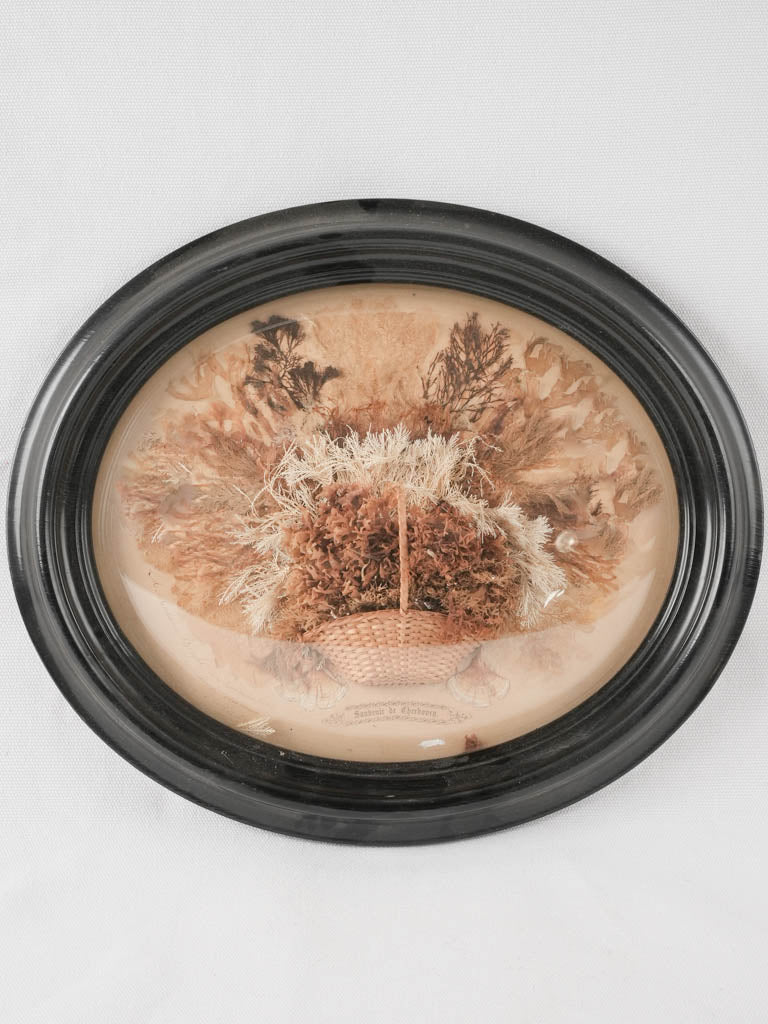 Napoleon III framed dried flowers - souvenir de Cherbourg 12¼" x 15"