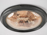 Napoleon III framed dried flowers - souvenir de Cherbourg 12¼" x 15"