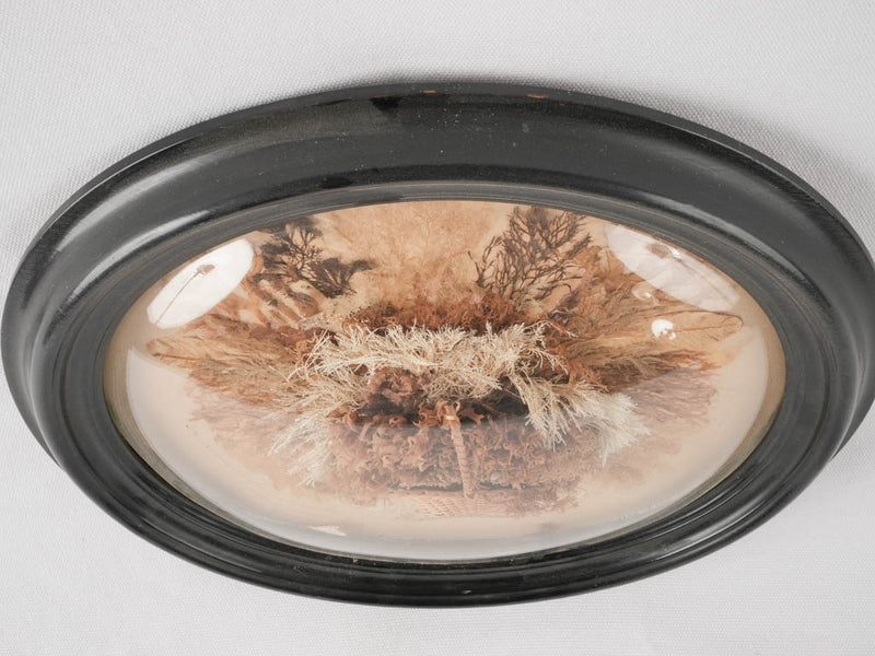 Napoleon III framed dried flowers - souvenir de Cherbourg 12¼" x 15"