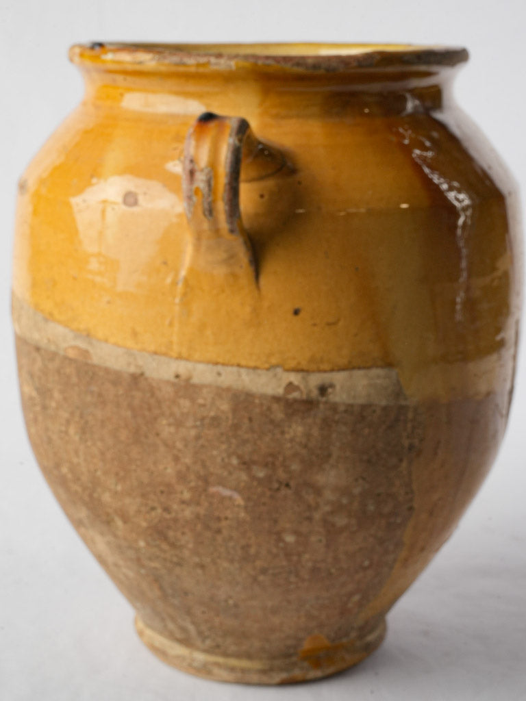 Asymmetrical half glaze confit