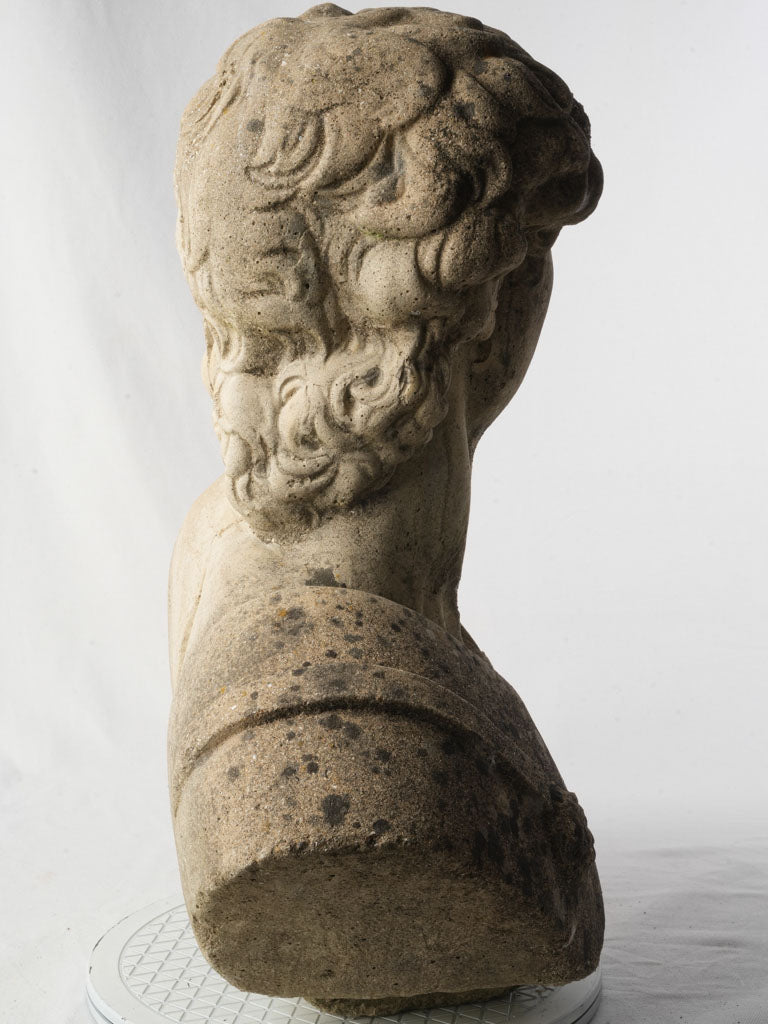 Distinctive lion-head medallions bust  