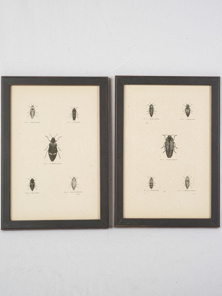 Authentic historical allure prints