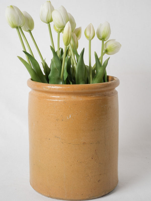 Ochre-mustard glazed French conserving pot