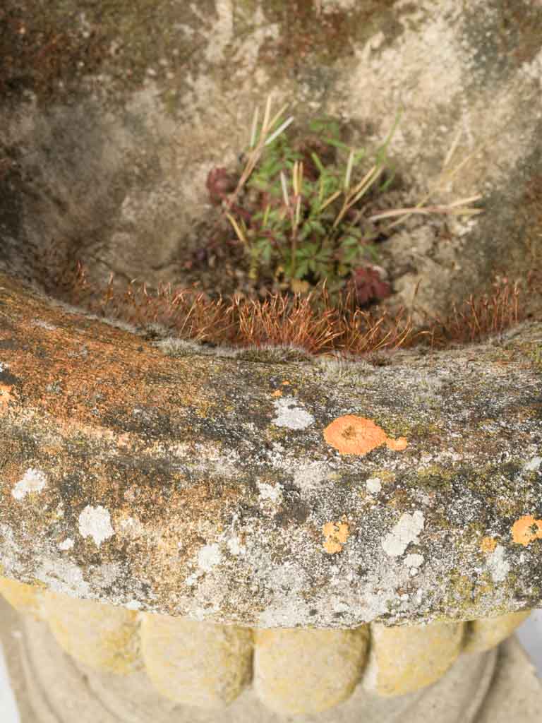 Substantial stepped-pedestal concrete urns