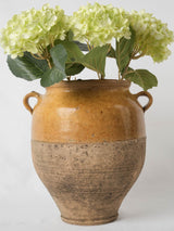 Charming southwest French demi glaze pot