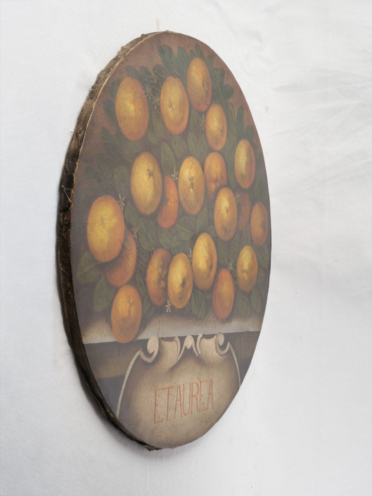 Southern Italian Painted Tondo of Oranges From The Late 19th Century - 27½"