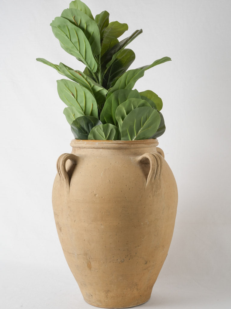 Charming French antique terracotta pot