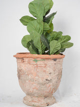 Rare antique Anduze planter urn