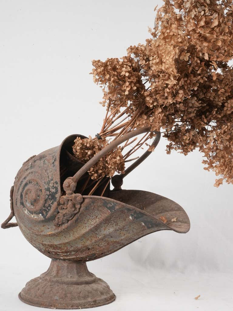 Antique English nautilus-shaped coal hod