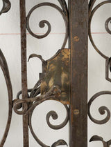 Ornate historic wrought iron door