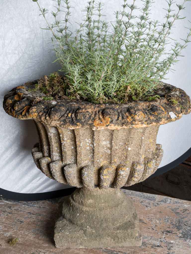 Pair of Late 19th Century French Cement Medici Urns w/ Striking Lichen Patina - 17¾"