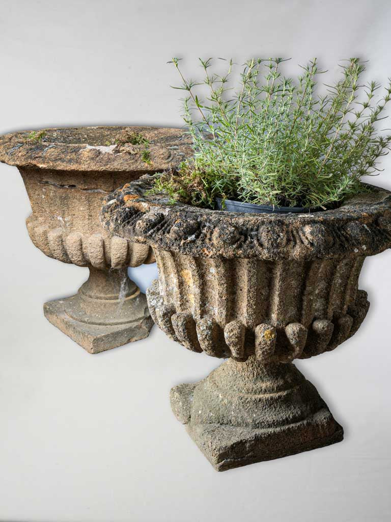 Pair of Late 19th Century French Cement Medici Urns w/ Striking Lichen Patina - 17¾"