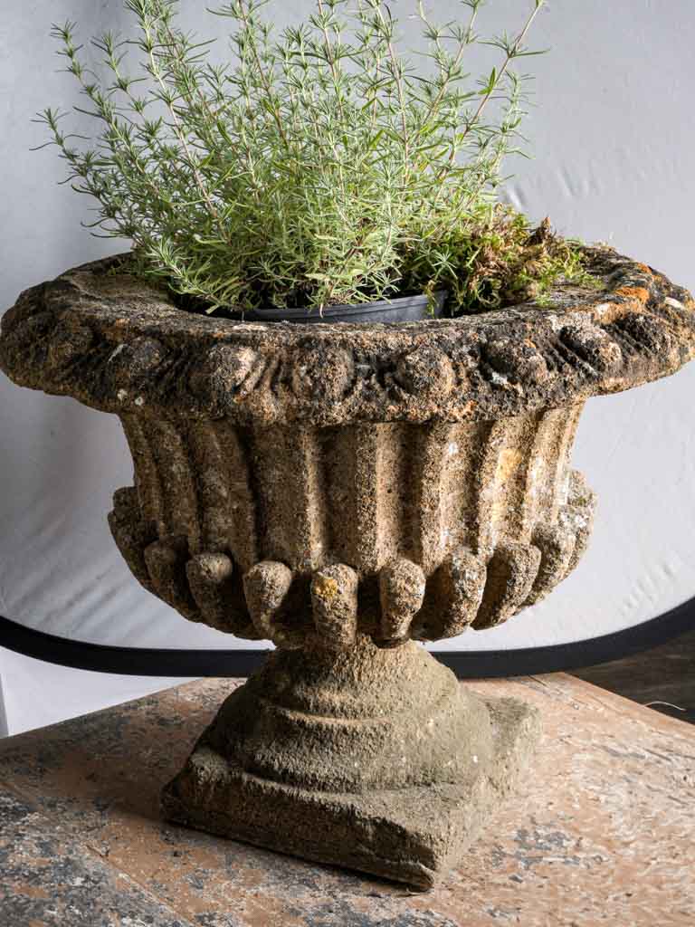Pair of Late 19th Century French Cement Medici Urns w/ Striking Lichen Patina - 17¾"