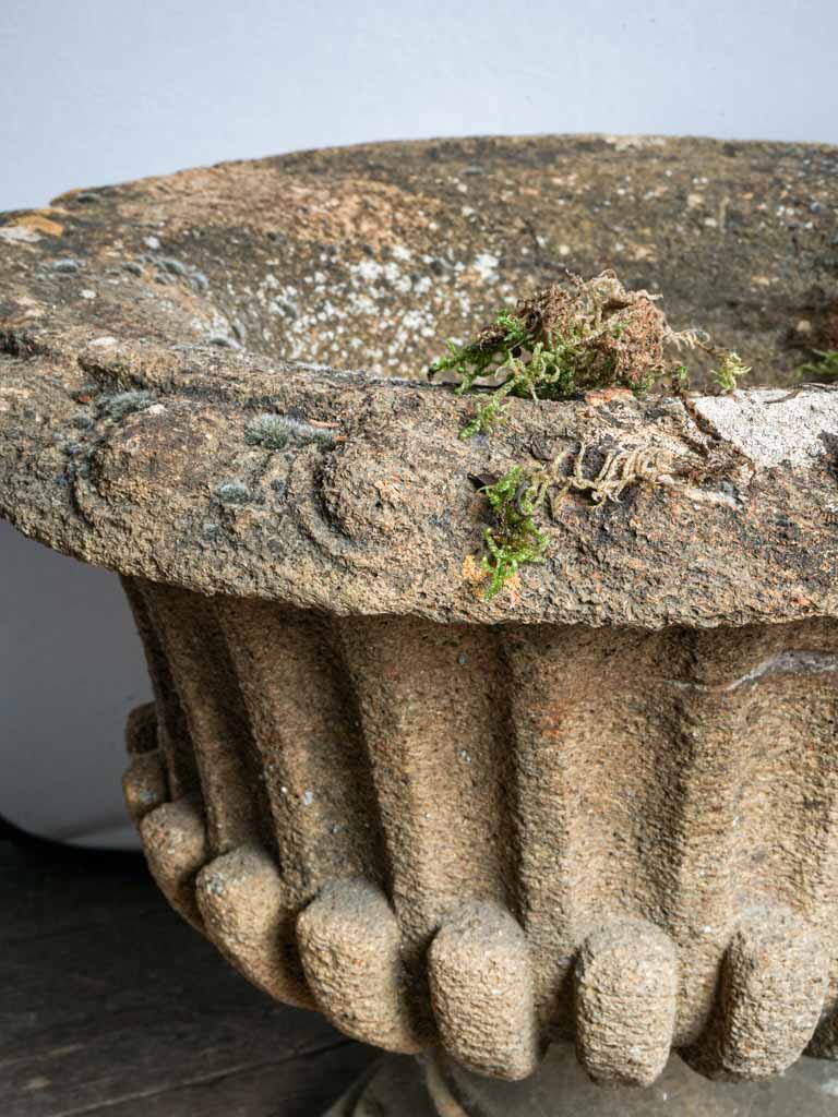 Pair of Late 19th Century French Cement Medici Urns w/ Striking Lichen Patina - 17¾"
