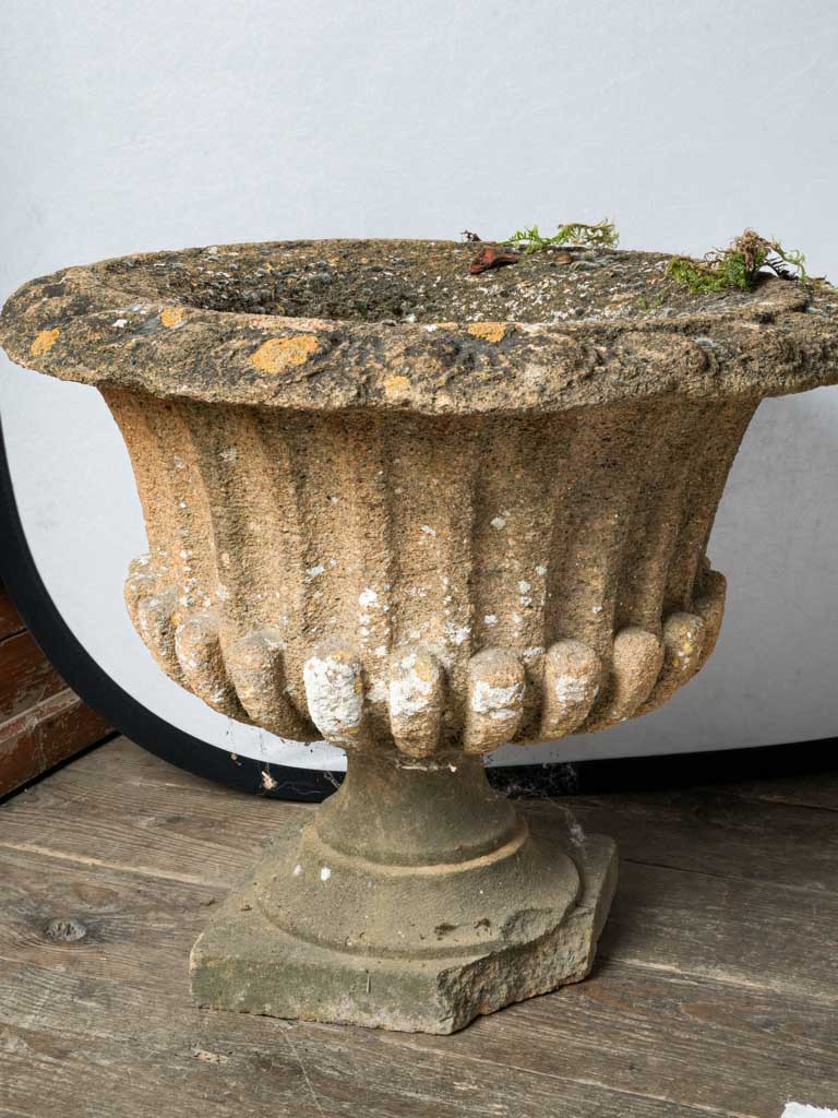 Pair of Late 19th Century French Cement Medici Urns w/ Striking Lichen Patina - 17¾"