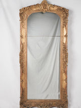 Louis XV Pier mirror w/ two panes 65" x 28¾"